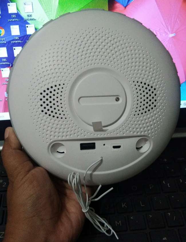 FM Radio Smart Wake Up Light