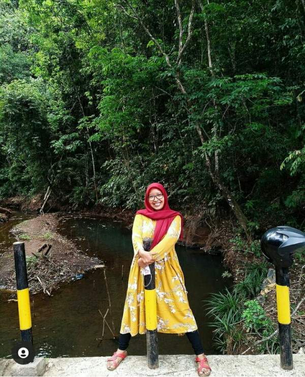 Hasil Hutan Bukan Kayu