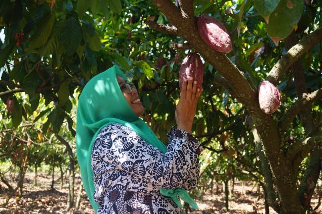 Komoditas Lokal Ramah Lingkungan