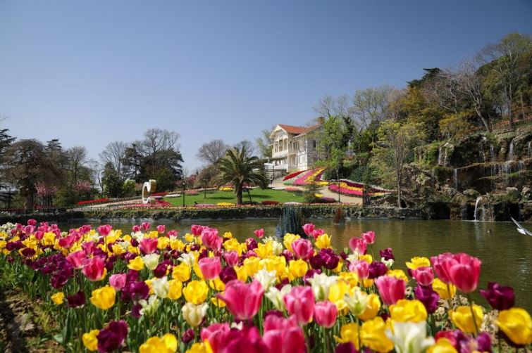 Emirgan Tulip Garden Turki